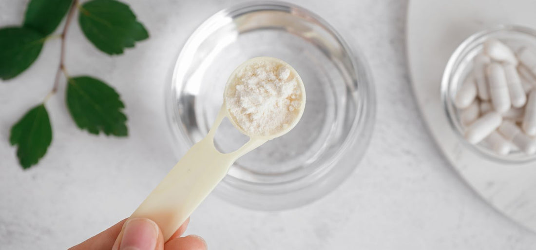 collagen supplements