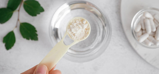 collagen supplements