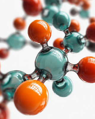 Amino Acids (L-Arginine & L-Glutamine)